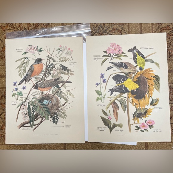 Other - Vintage Arthur Singer Bird Print Number 5 & 6 of a Series